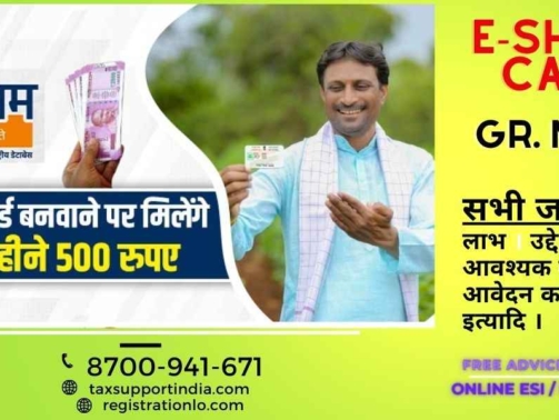 E Shram Card Greater Noida For Unorganised Workers Profit Online Registrations Benefits Required Documents